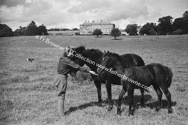 HEADFORD HOUSE  MISS ELIZABETH CLARKE WITH THOROUGHBRED MARES AND FOALS